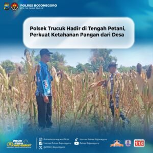 Polres Bojonegoro terus hadir mendukung program ketahanan pangan nasional melalui aksi nyata bersama para petani di wilayah hukum Polsek Trucuk.